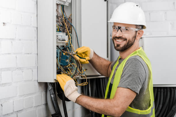 Best Electrical System Inspection  in Massanetta Springs, VA